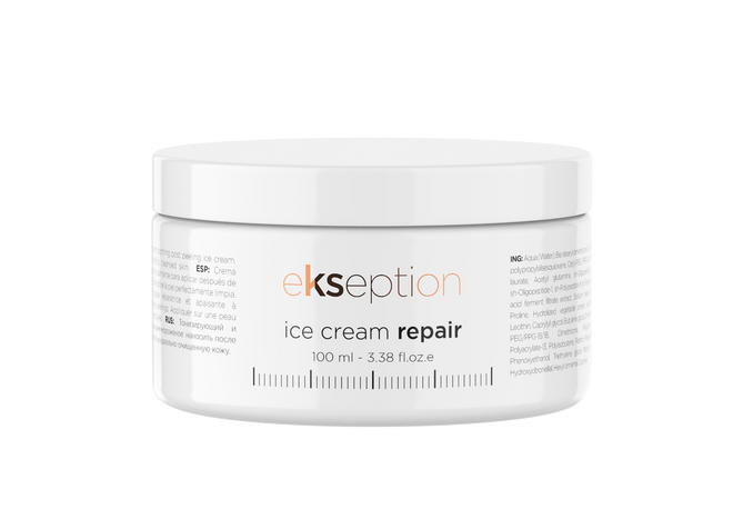 EKSEPTION ICE CREAM REPAIR